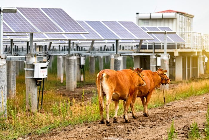 energia solar na zona rural